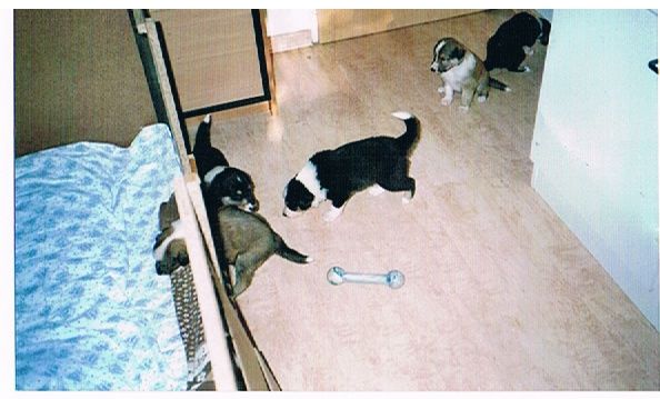 Wo bleibt denn unsere Mama ?
