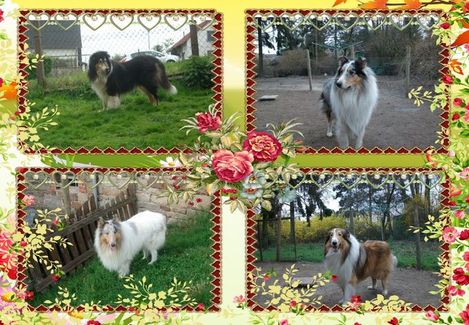 Unsere Jungs
