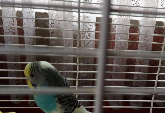 Unsere neuen Familienmitglieder / 