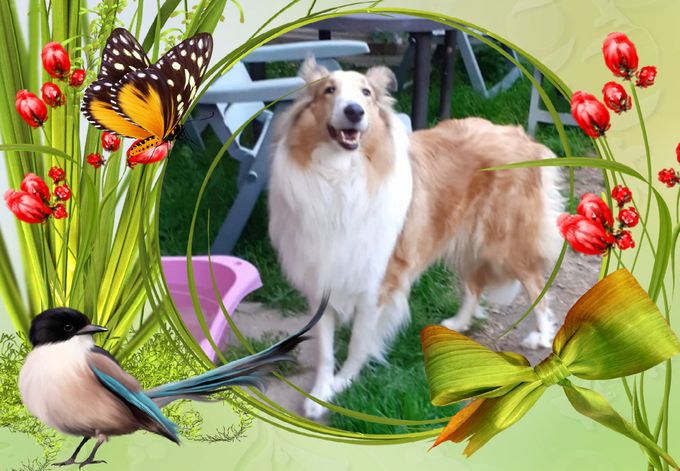 Unser Mädchen