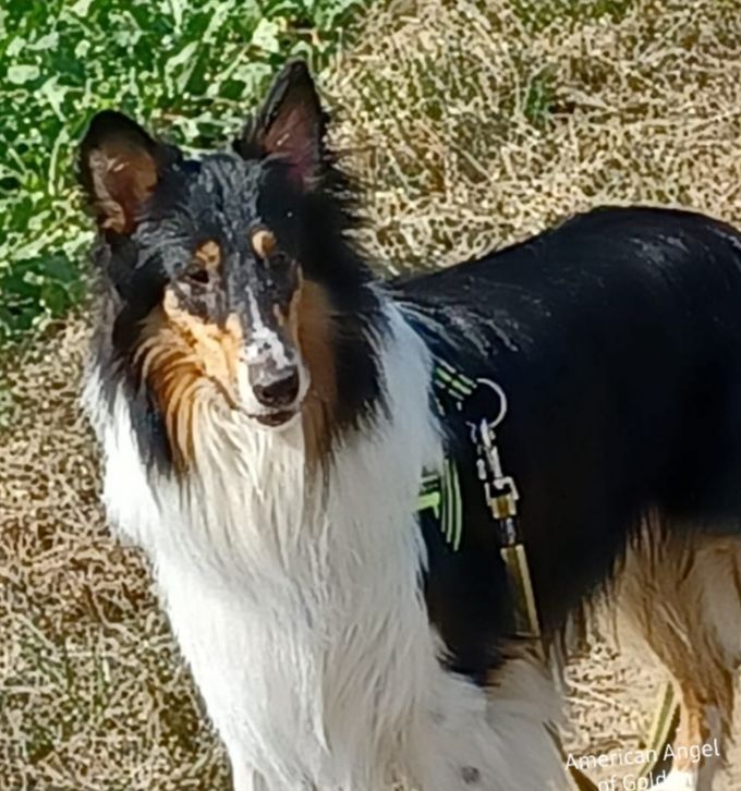 Dakota im September 2022